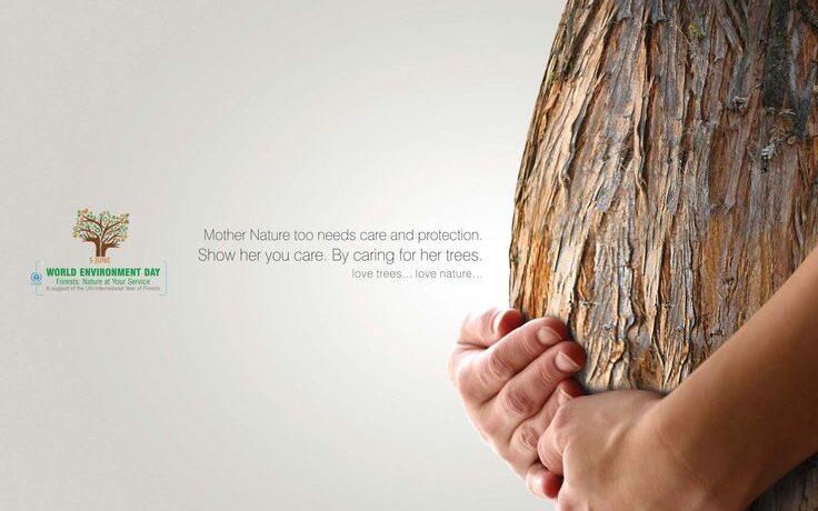 World Environment Day Tree cotw