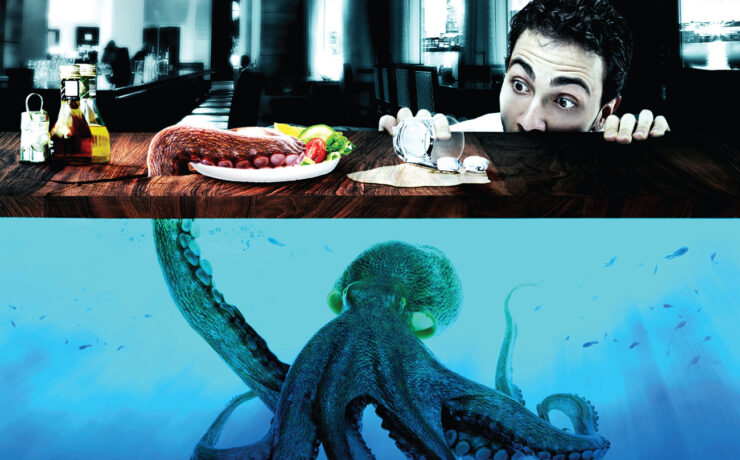 Vantuz Just Fresh cotw