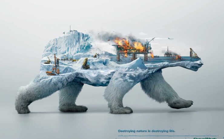 illusion robin wood polar bear poster cotw