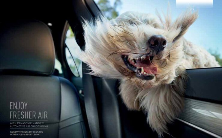 Panasonic Nanoe TM technology cotw 3