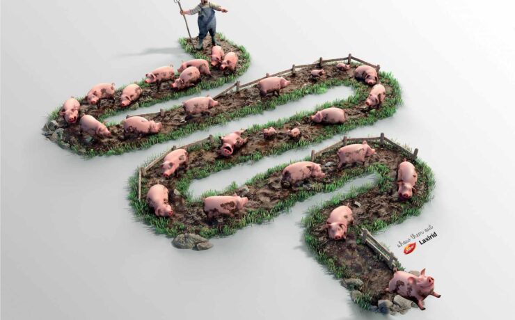 dabur laxirid intestine pig cotw