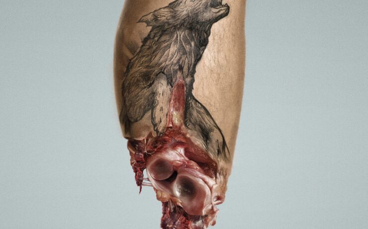 AnimaNaturalis hurt wildlife 2