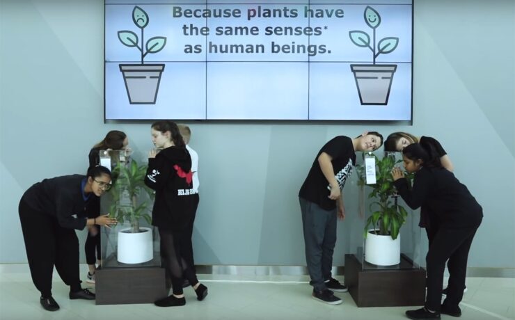 Bully a plant: say no to bullying