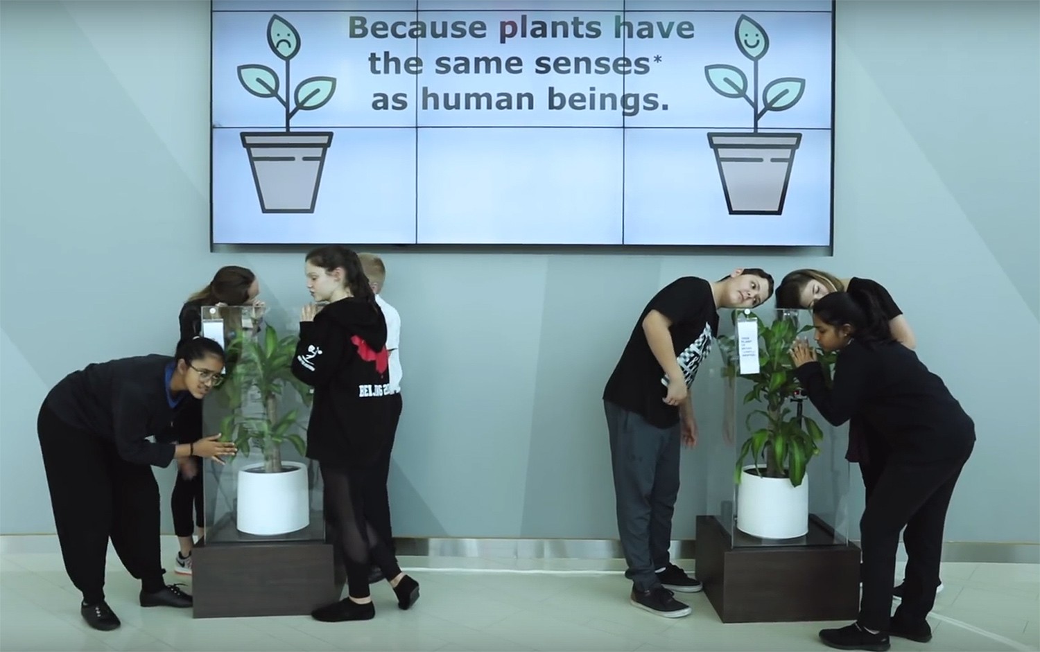 Bully A Plant: Say No To Bullying