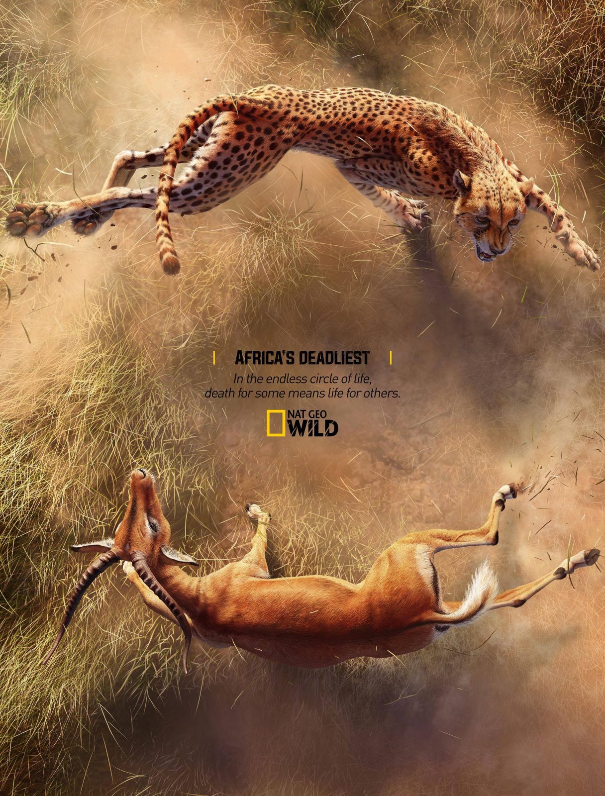 National Geographic Africa's Deadliest | Print Advertising