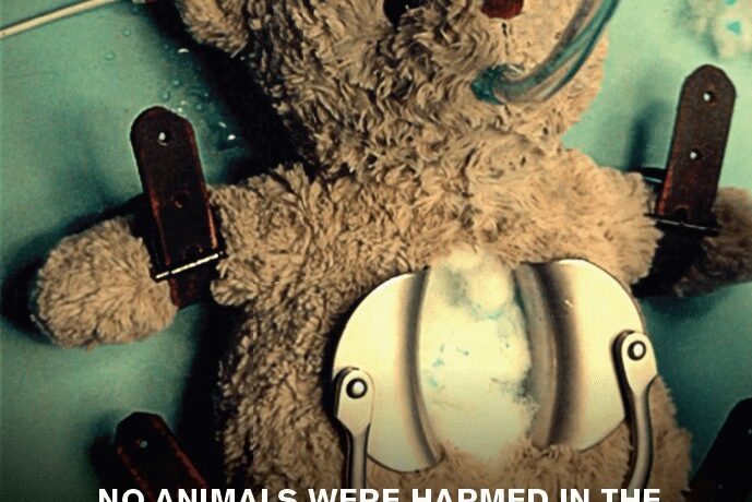 PETA - Teddy Bear