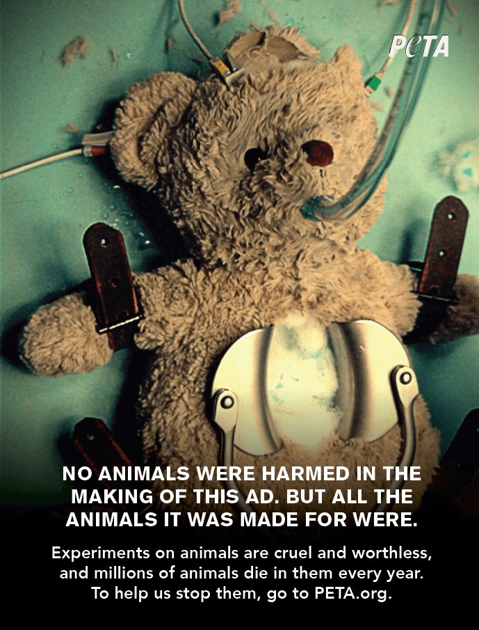 PETA uses a stuffed teddy bear to show the brutal realities of real animal  testing
