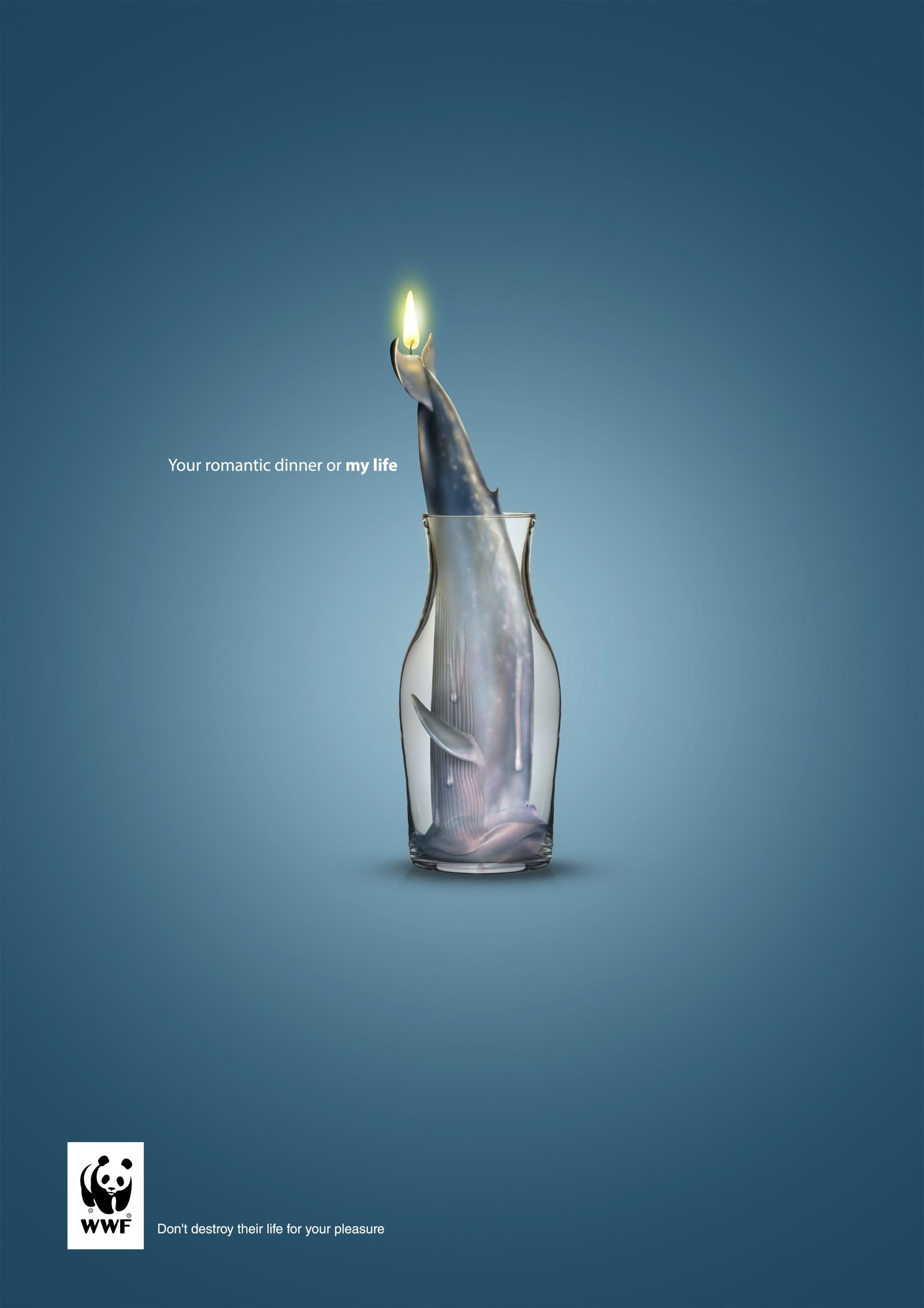 WWF print ad | Awareness campaign