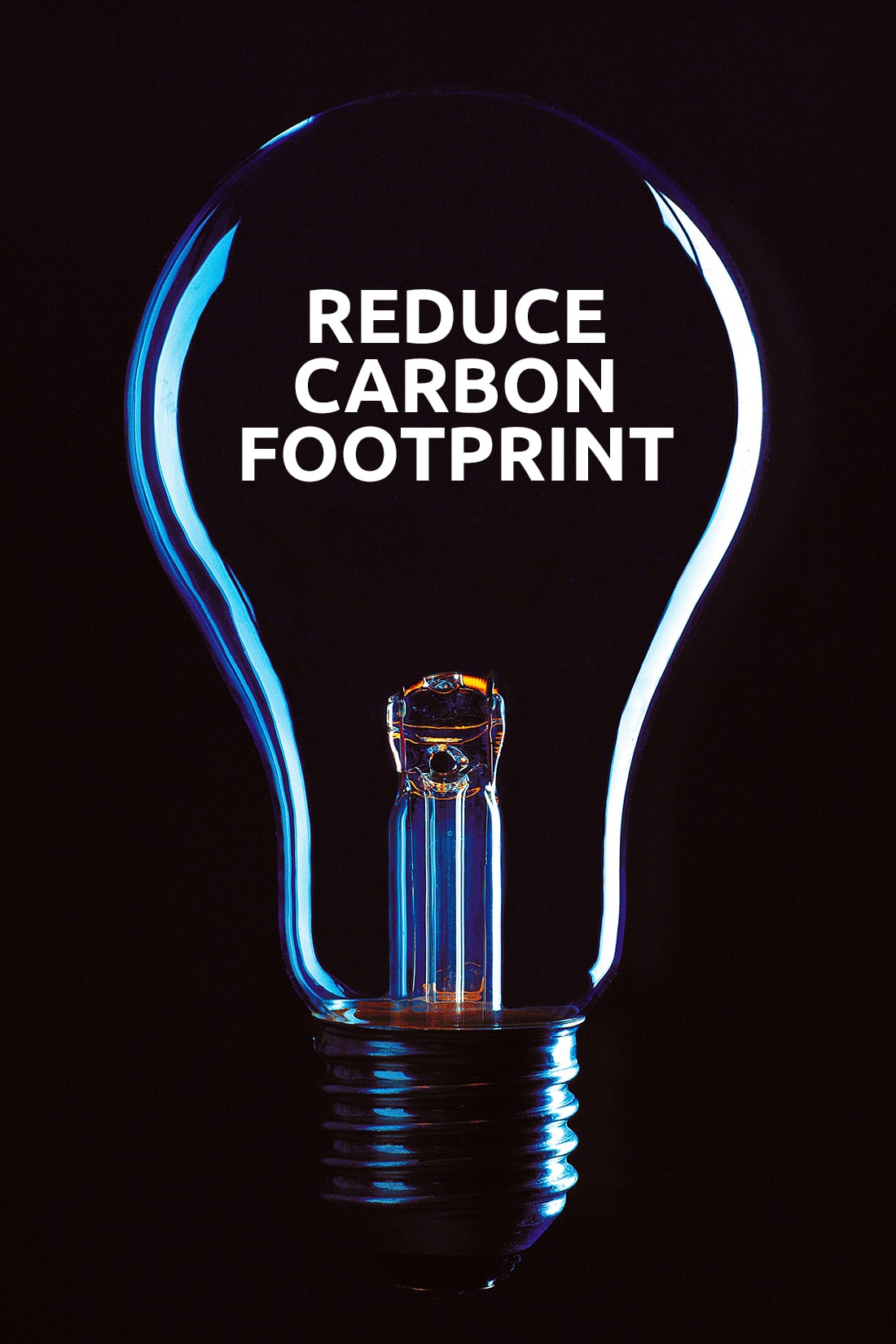 How Can Businesses Reduce Their Carbon Footprint?