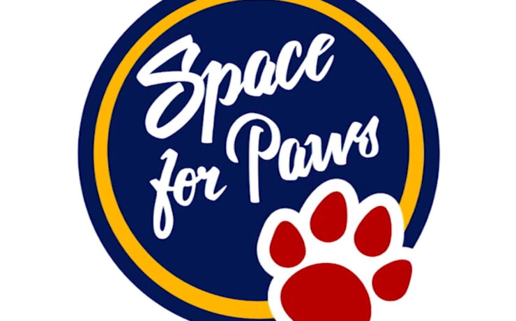 Space For Paws