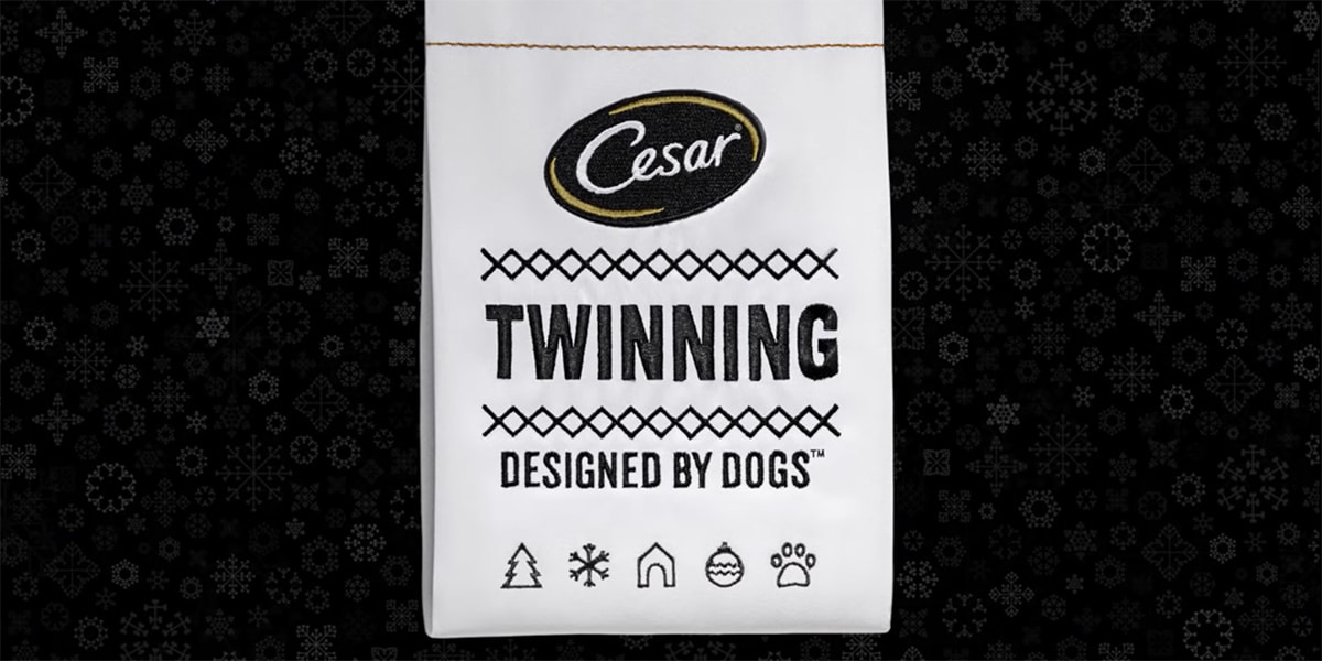 CESAR Twinning Designed by Dogs