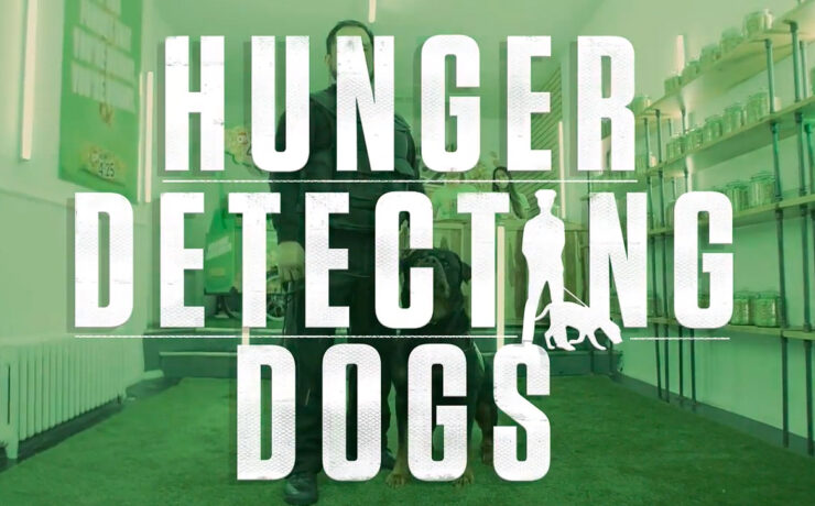 Oh henry! Hunger detecting dogs