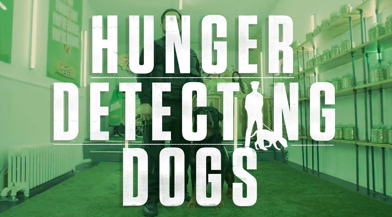 Oh Henry! Hunger Detecting Dogs