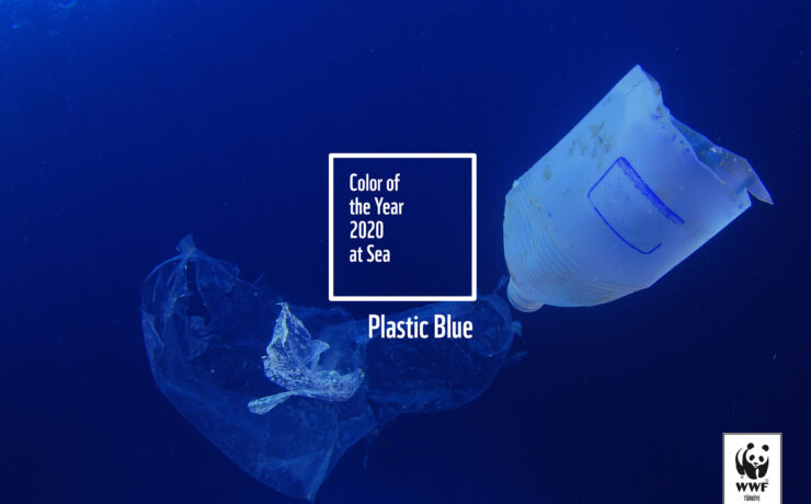 Plastic blue by wwf