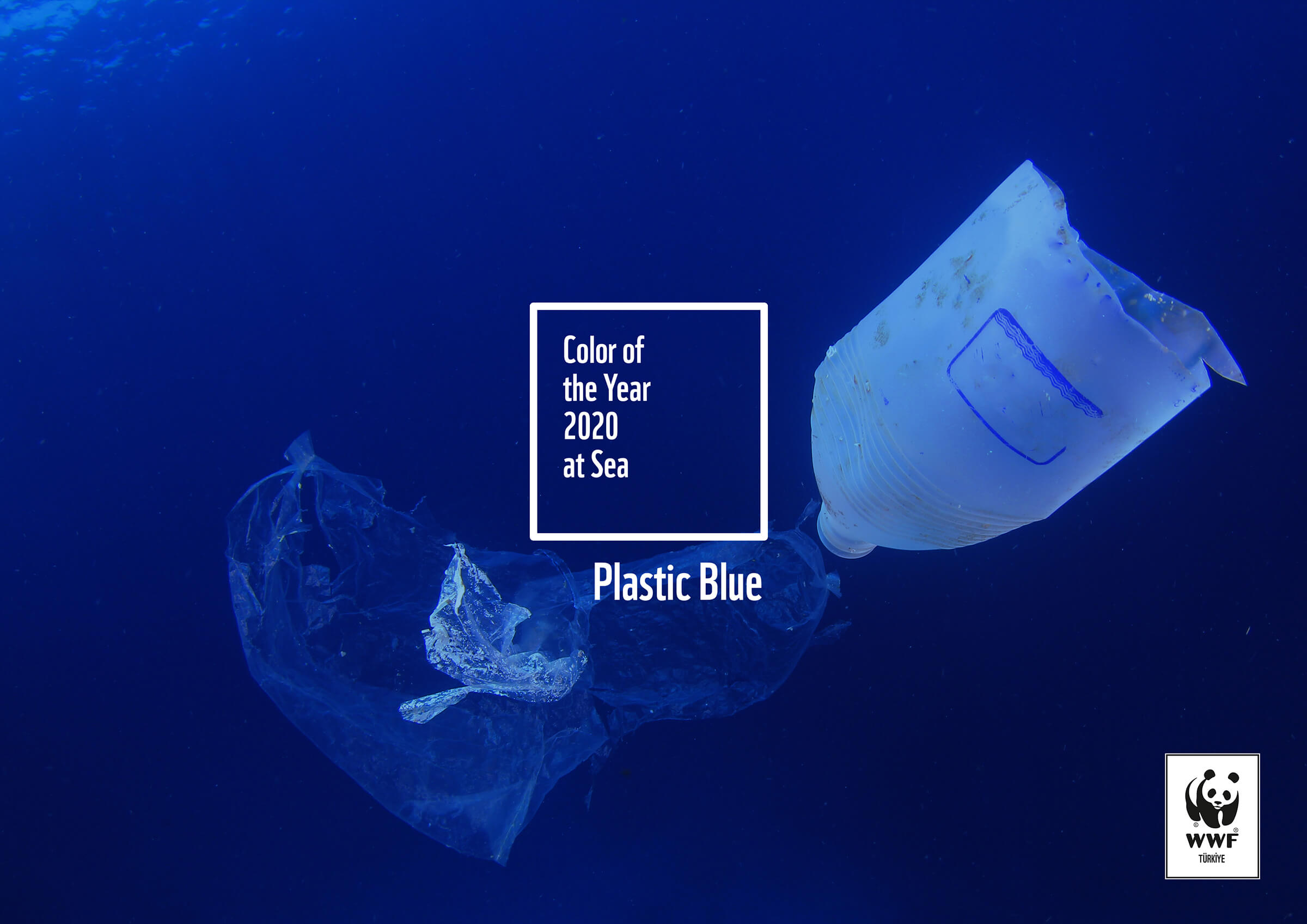 Plastic Blue by WWF
