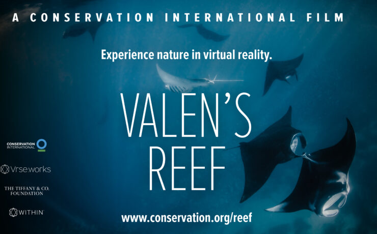 Conservation international: valen's reef