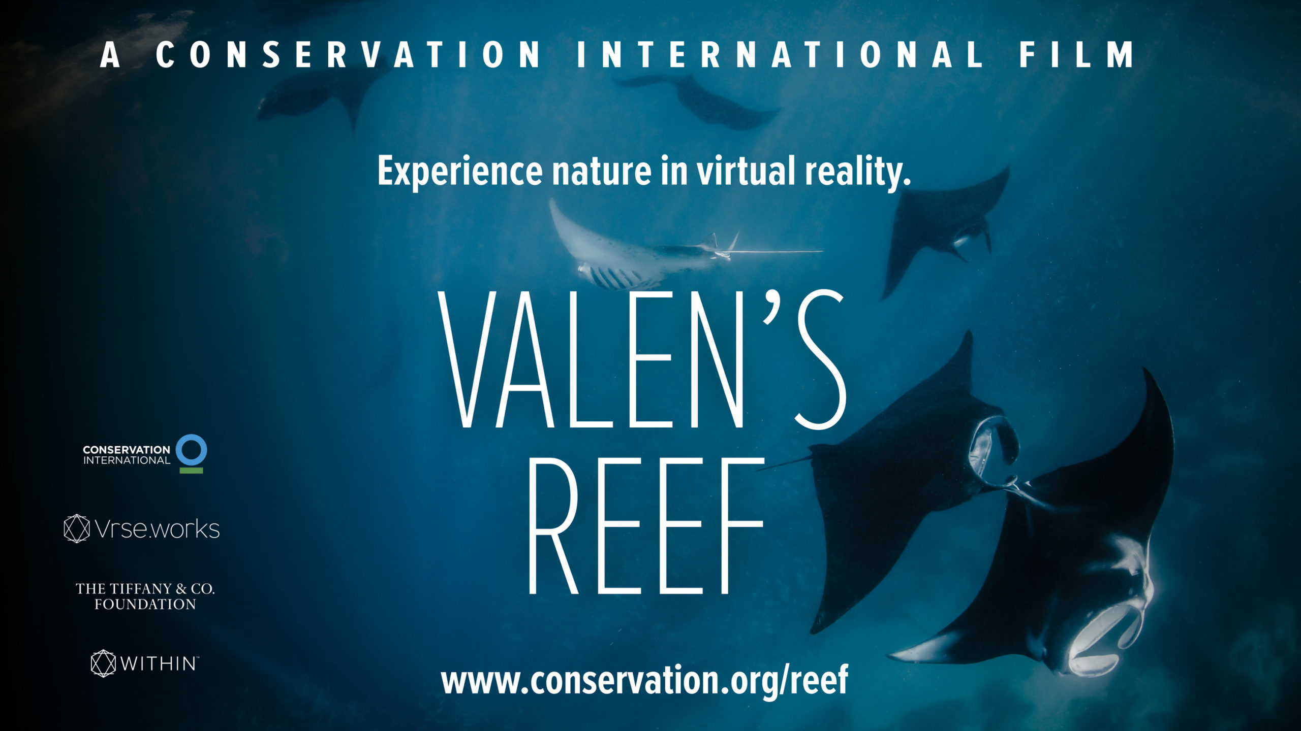 Conservation International: Valen's Reef