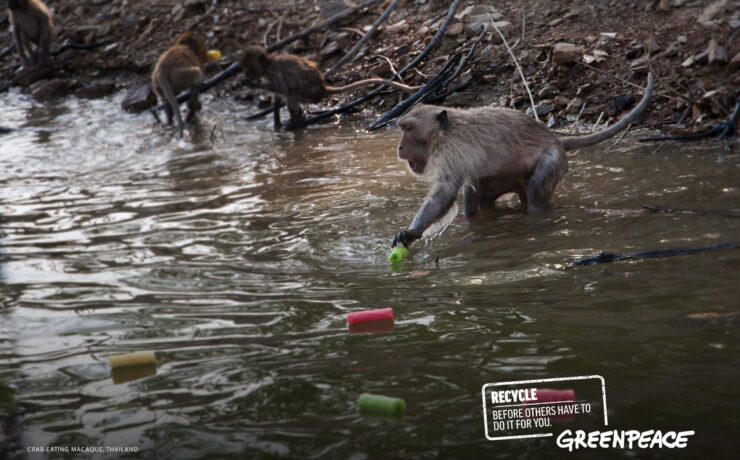 Greenpeace: recycle