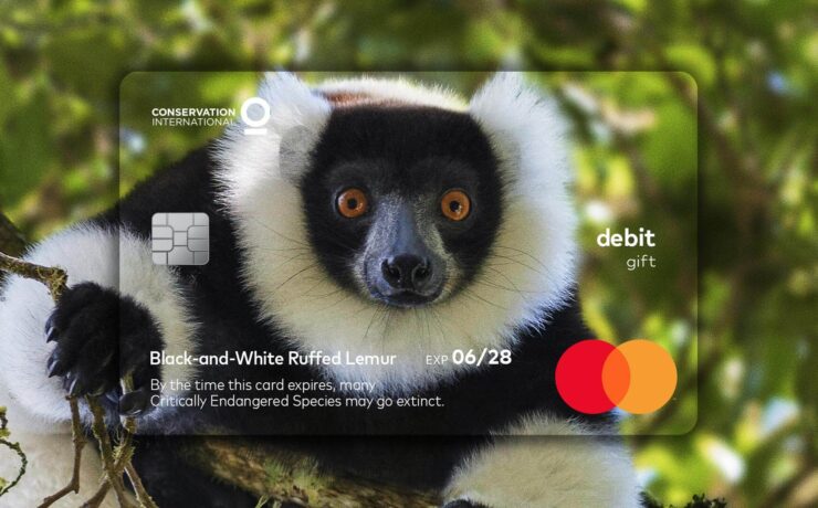 Mastercard: wildlife impact card