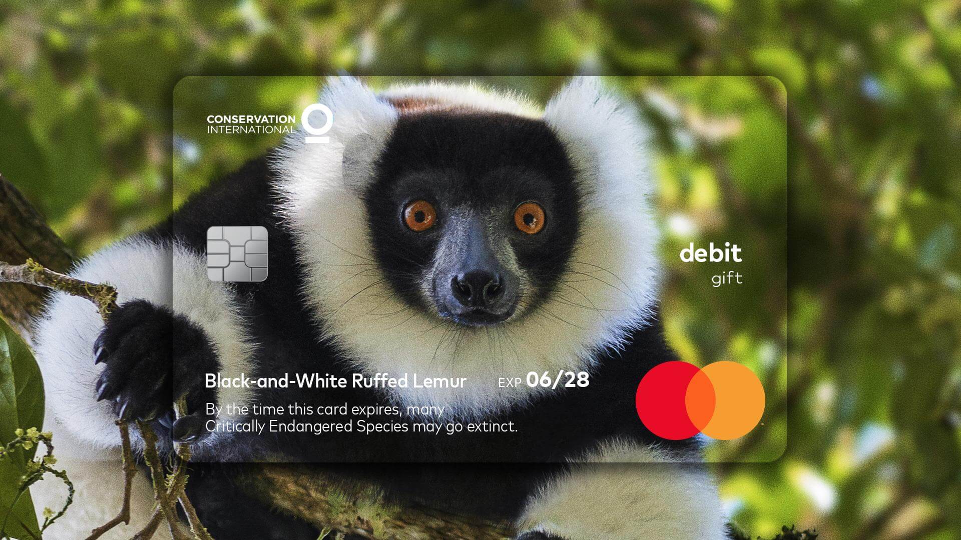 MasterCard: Wildlife Impact Card