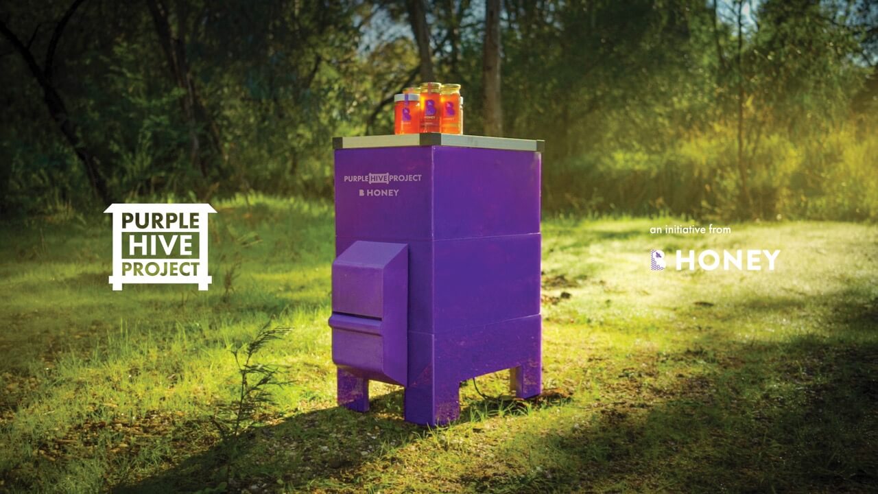 Purple Hive Project by Bega Cheese, Campaigns of the world