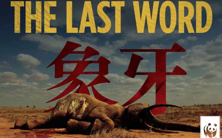 Wwf the last word, campaigns of the world