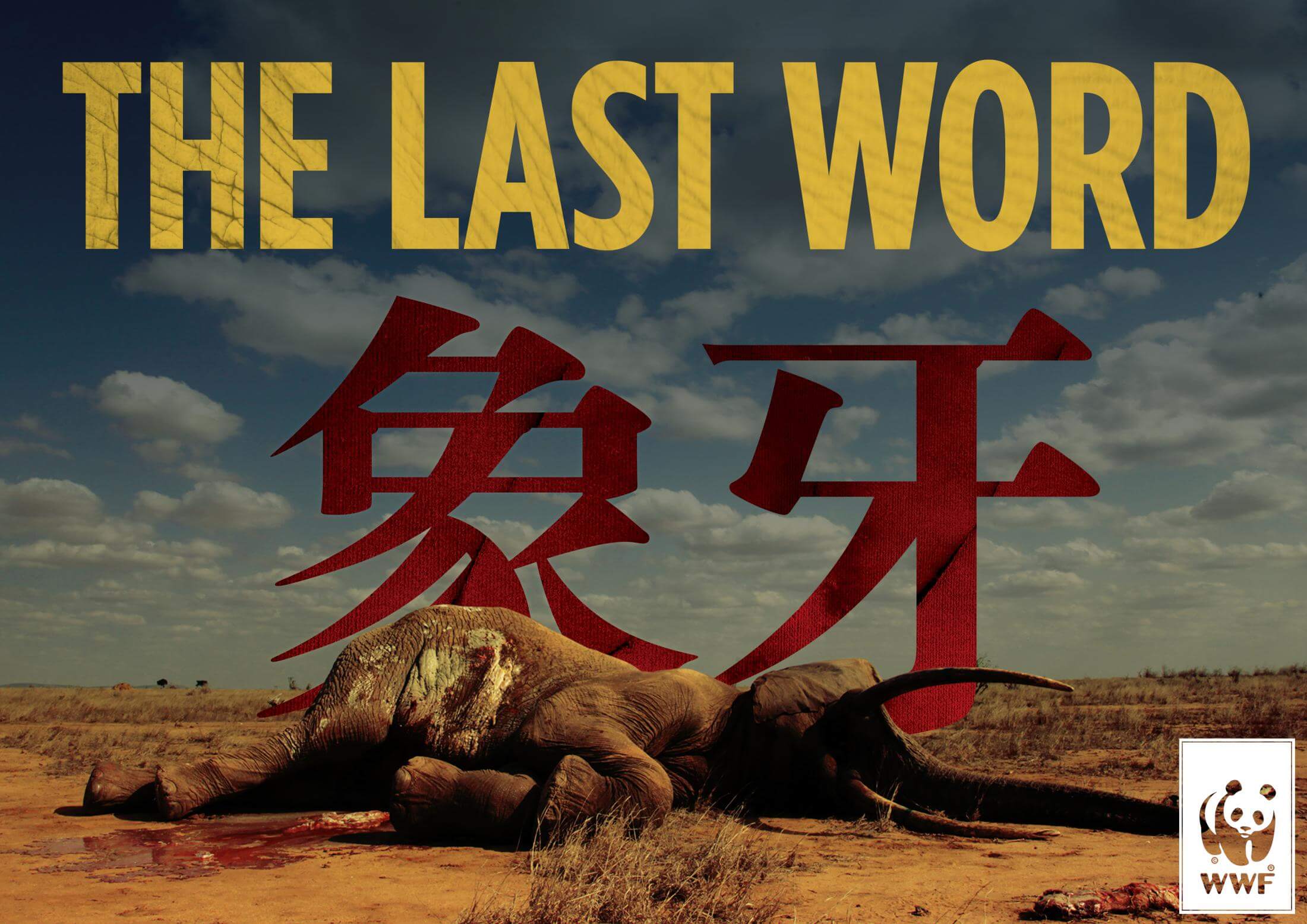 WWF The Last Word, Campaigns of the world