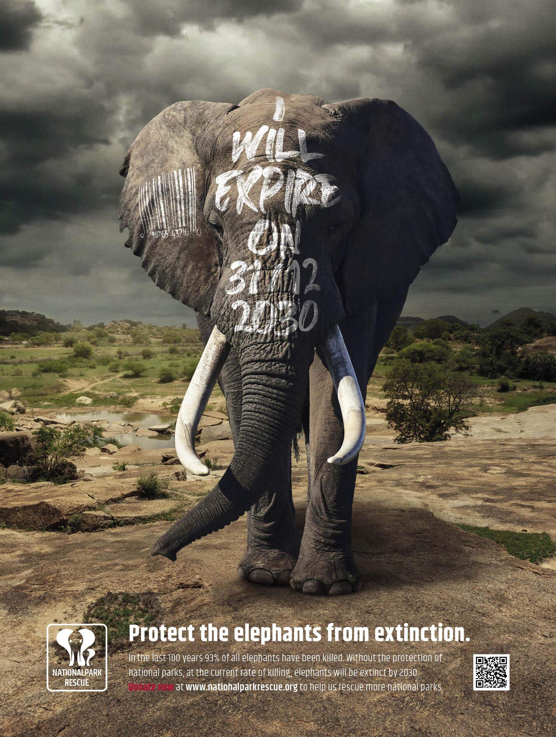 National Park Rescue, Last call, Campaigns of the world