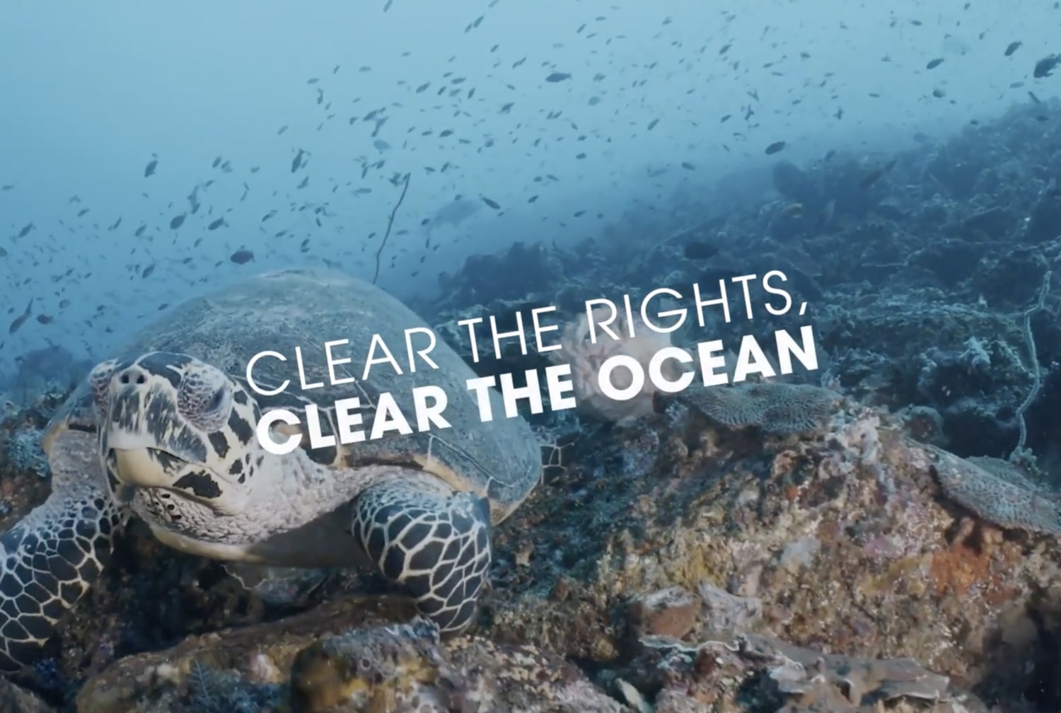 Mauritius images, Clear The Rights, Clear The Ocean