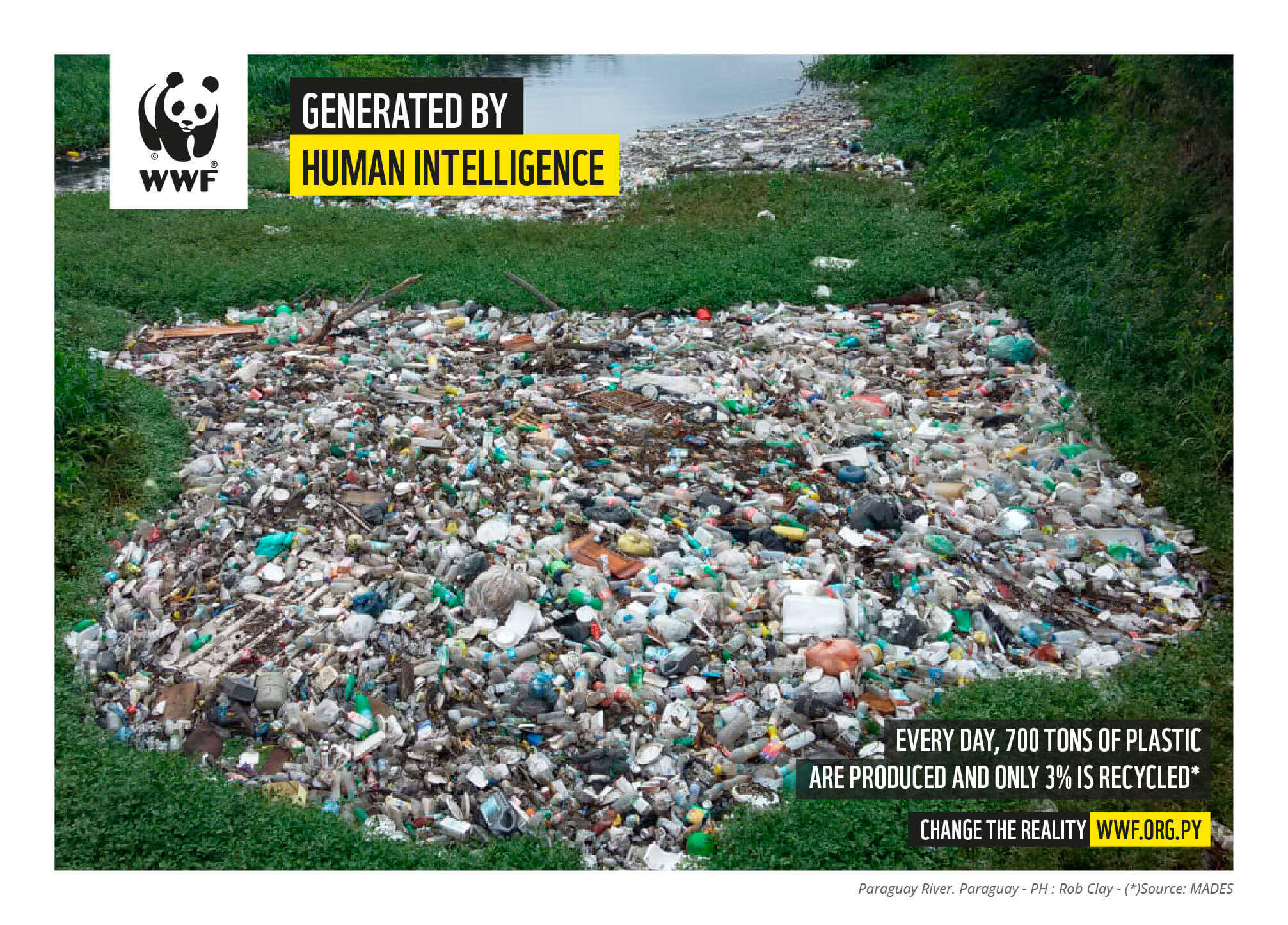WWF, Generated by Human Intelligence, Campaigns of the world, Print