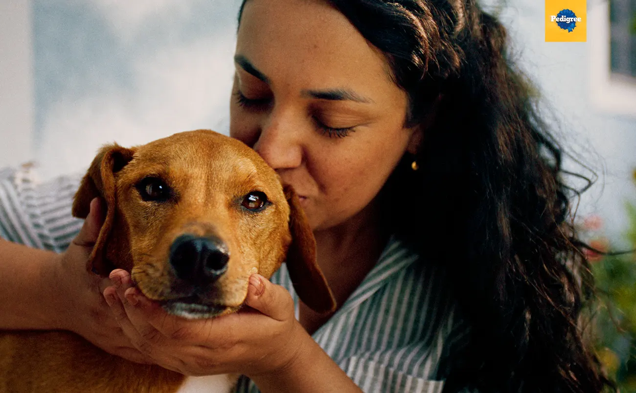 Pedigree dog adoption campaign Brazil melhoramigo.ai