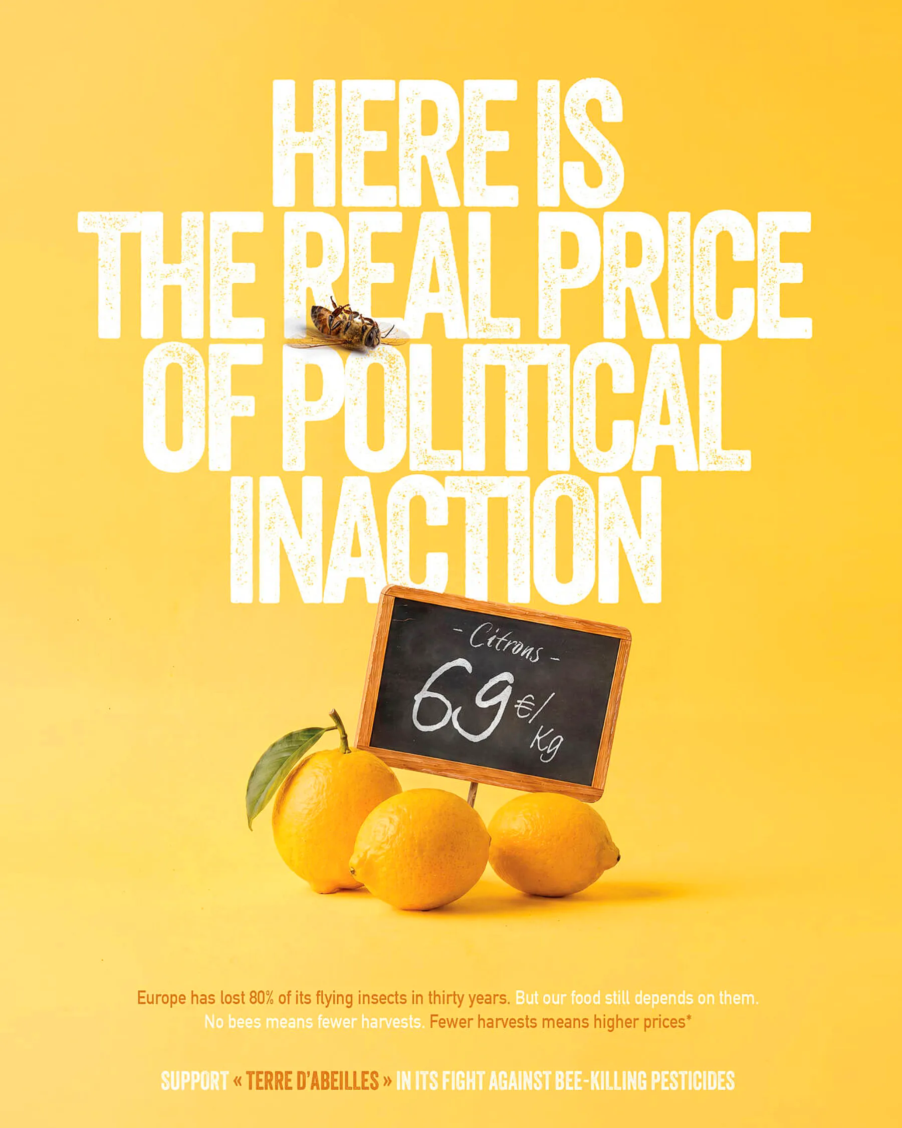 Environmental Awareness Campaign On Future Food Costs