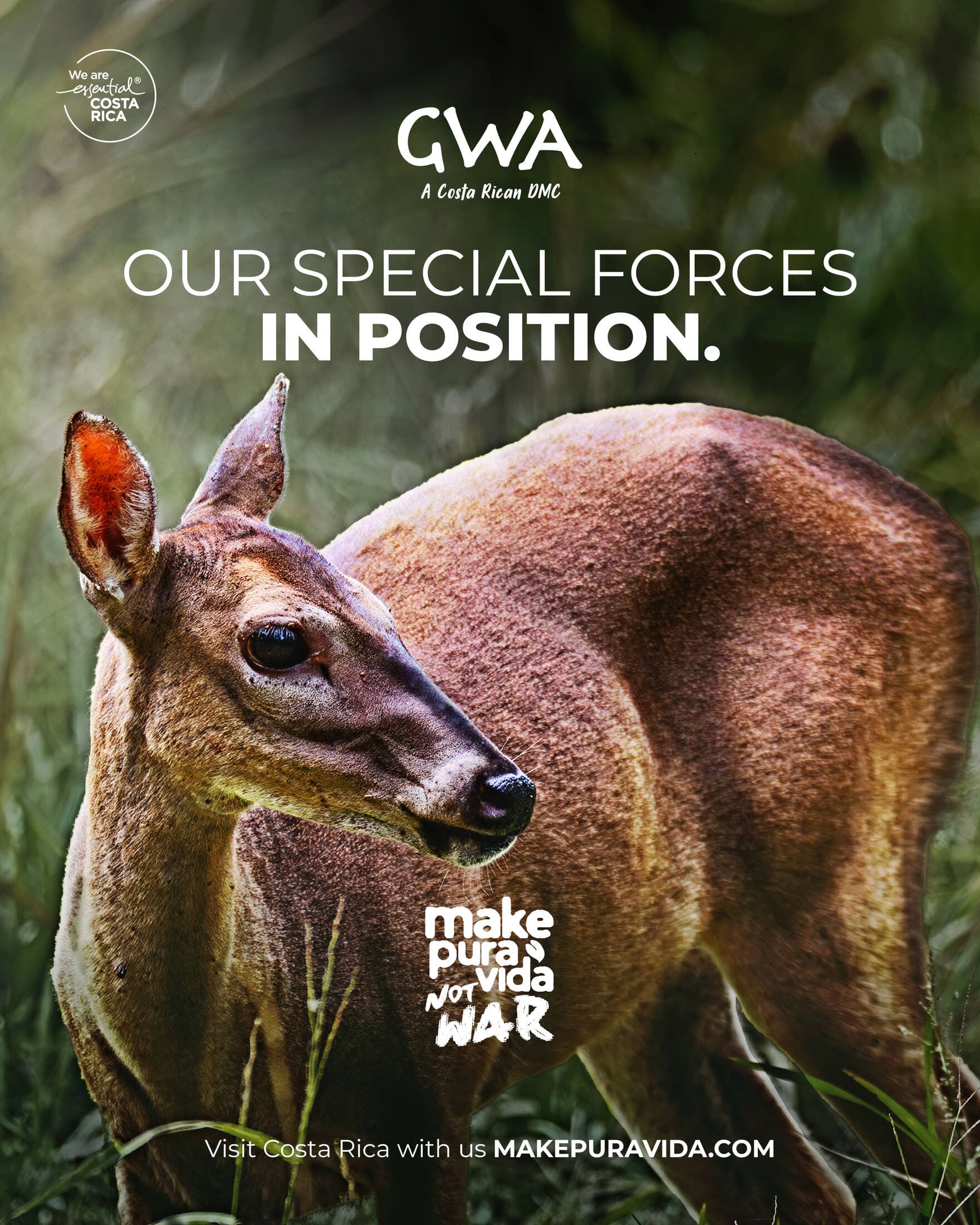 Make Pura Vida. Not War print ad featuring a Costa Rican deer as special forces