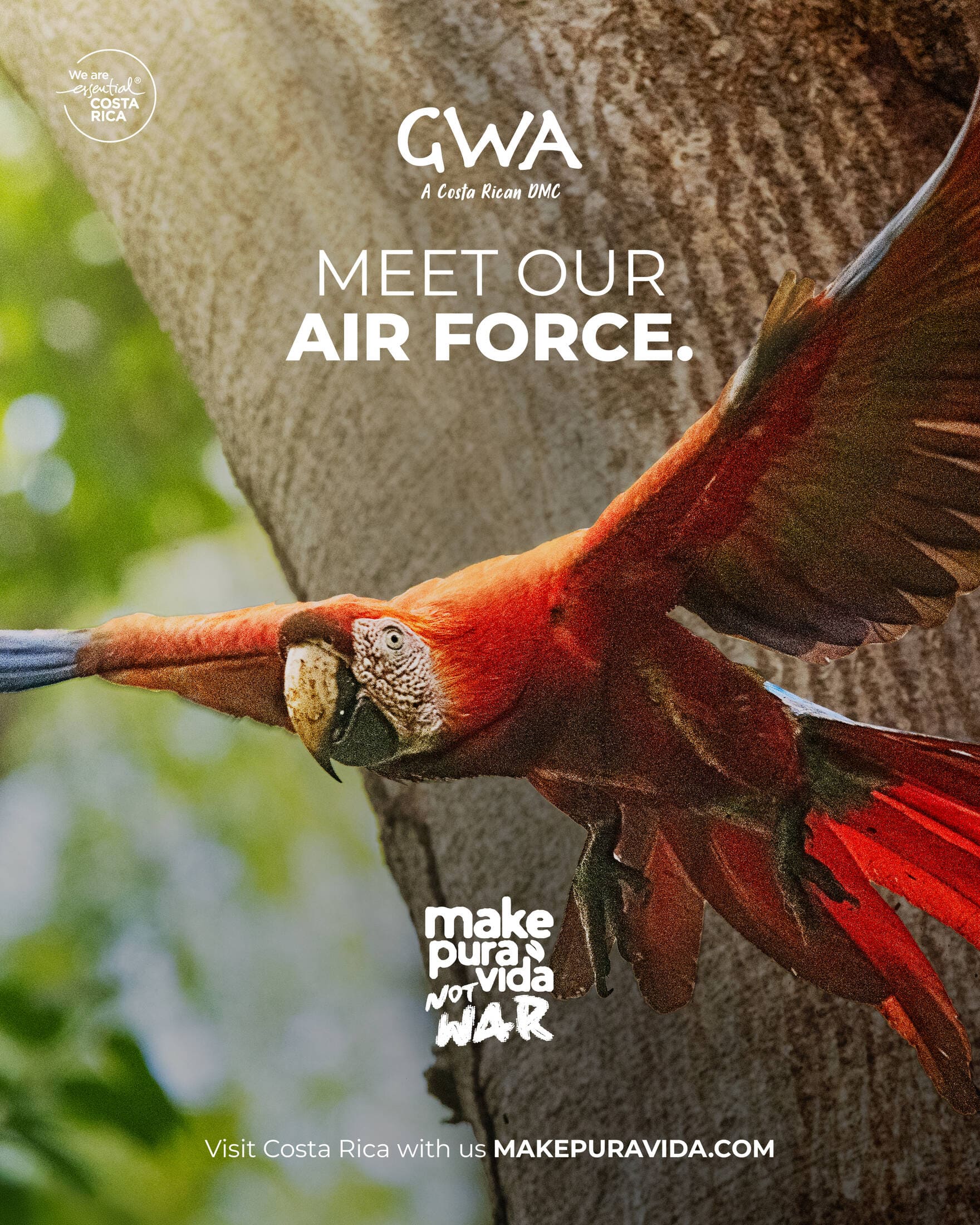 Make Pura Vida. Not War print ad featuring a scarlet macaw as Costa Rica’s air force