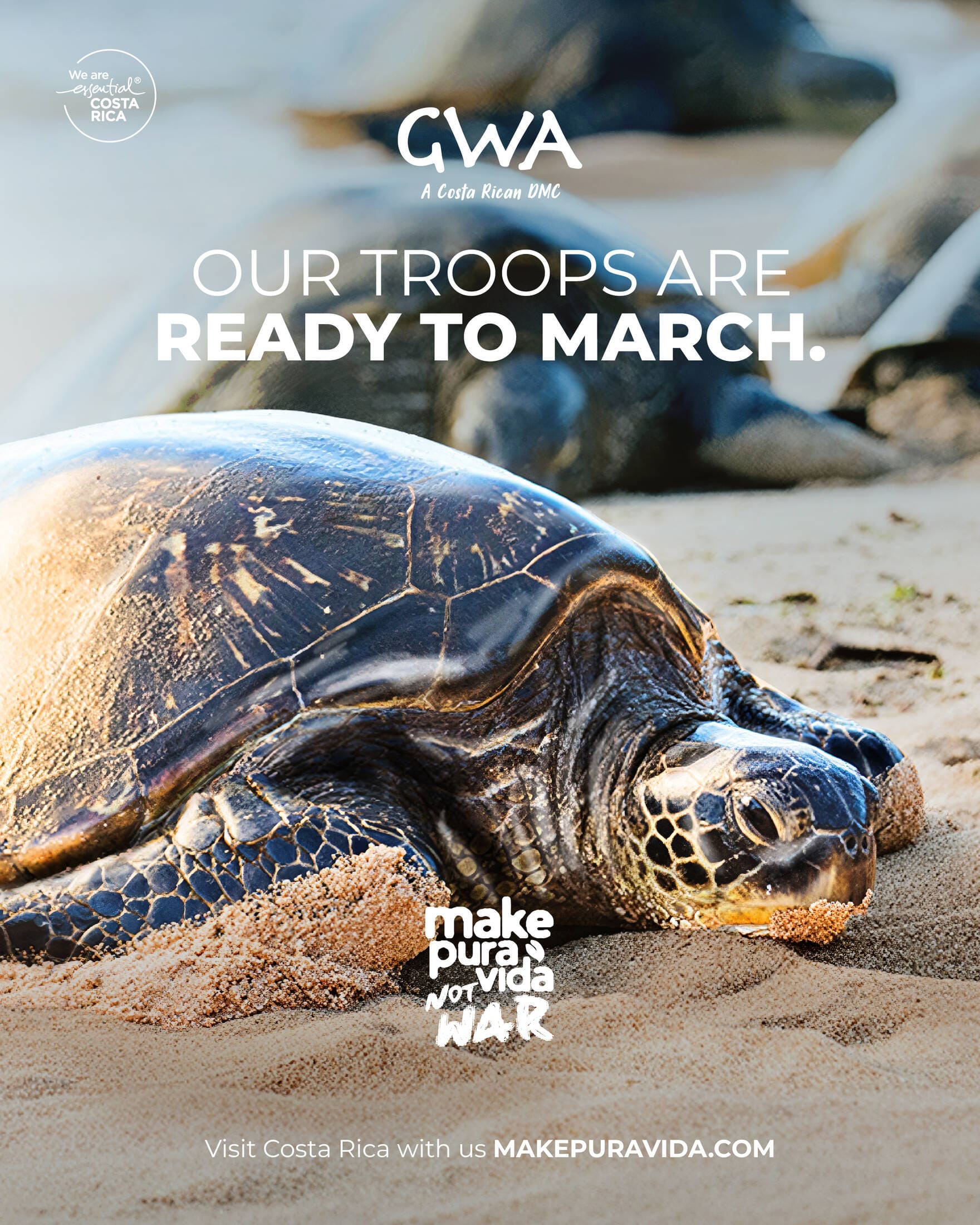 Make Pura Vida. Not War print ad featuring a sea turtle as Costa Rica’s troops